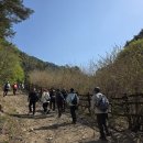 곰배령 | 우리끼리 강원도 인제 곰배령 싱잉볼 당일투어 후기