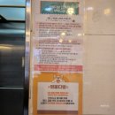 멍뭉 멍뭉 | 사가정역 애견카페 아기자기한 긔여운 포토존 가득한 멍뭉다방 후기 추천