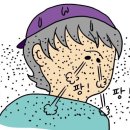 신동-91 이미지