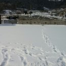 산호오락실 이미지