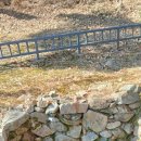 장정리 | 강화 장정리 오층석탑