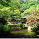 남간정사 이미지