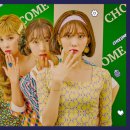 쪼꼬미네 이미지