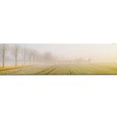 노아(Noah) 이미지