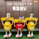 댕댕플래닛 | [의정부] 서울근교 애견운동장 추천 #독플래닛 #내돈내산 후기