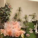 골프존파크상동 이미지