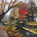 용산-230 이미지