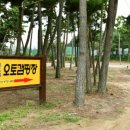 태안방주염전갯벌체험장