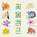 영덕문화체육센터 이미지