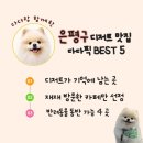 은평구 디저트 맛집 추천 🍰 | 커피와 잘 어울리는 다다픽 BEST 5