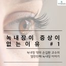 녹내장이 증상이 없는 이유#1 - 손길환 교수 녹내장 이야기 열한 번째.(충남 천안 아산 아이본 안과)