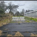 서호동-15 이미지