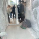 대곶면 율생리 456-10 | :: 고영주택 :: 김포 고양이카페 고영주택 내돈내산 방문후기