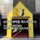 삼호 철새마을 하우스 | 자연의 품에서 쉬어가세요. 도심 속 생태 힐링, 삼호 철새마을 게스트하우스