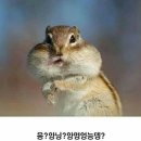 극장판 드래곤볼 슈퍼: 브로리 프레임단위로 물빨핥 #03