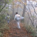 미래산장 오마이뉴스