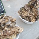 정초밥회수산 이미지