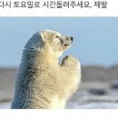 마스터 배 아카데미 | 겟잇스위트 쇼콜라티에 마스터클래스 후기