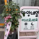 앙앙네일 이미지