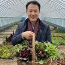 매미농장 이미지