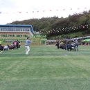 화양중학교 이미지