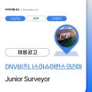 디엔브이비즈니스어슈어런스