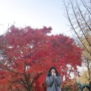 구석집 하남미사점 | 작은 단풍놀이-미사리조정경기장, 숙이네 간장게장, 팥고당 하남스타필드, 삼진그룹 영어토익반)