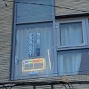피치그레이