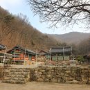 청원사 | 안성시 - 청원사 칠층석탑, 안성 청원사 대웅전