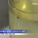 맥주에서 이물질 이미지