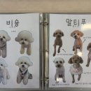 샤샤살롱 지제동삭점 네이버블로그