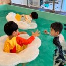 스위밍베베 이미지