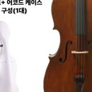 쉐마스트링