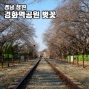 경남 창원 경화역공원벚꽃 주차장 개화상황 철길포토존 군항제 기본정보