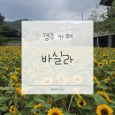 해바라기 | 경주 카페 | 바실라 | 해바라기 명소 카페 | 내돈내산 후기