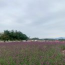 나누리농원 | 양주 나리공원 주말 뚜벅이 가는길 입장권