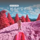 (주)한국허브 | 포천 허브아일랜드 아이랑 핑크뮬리 축제! 경기도 가을 가볼만한곳