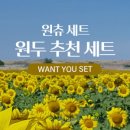 커피플라워