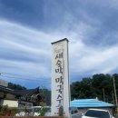 강원 춘천 - 현지인이 추천해 준 막국수 맛집 [새술막 막국수]