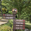 (무주여행)반디랜드-사계절썰매장-무주반디별천문과학관