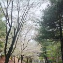 후동공원 이미지