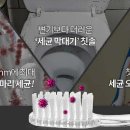 오투 주식회사 이미지