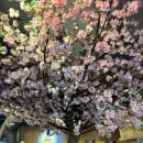 산본역 이자카야 꼬치리다 후기 메뉴 추천 가지 항정살 꼬치구이