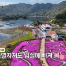 고요부부농장 티스토리