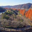 로하스대청공원 이미지