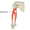 유한마취통증의학과의원 이미지