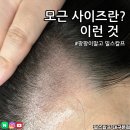 란헤어라인 - 창원시 마산회원구 합성시장길 40 | 란헤어라인