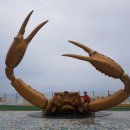 사계절펜션형민박 이미지