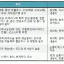 메디캠프 이미지