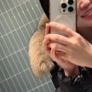 더블유치과의원 | 강남 TU치과 제로네이트 후기!최소삭제로 자연스럽게 예뻐진 치아 (내돈내산)